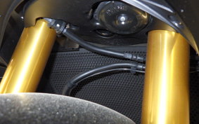 HONDA CBR1000RR RSP 2024 SC82