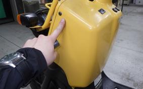 HONDA ZOOMER 2023 AF58