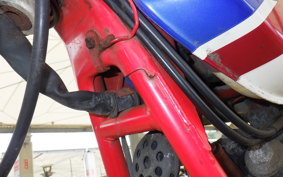 HONDA FTR250 MD17
