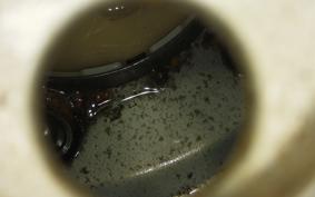 YAMAHA VINO 50 SA37J