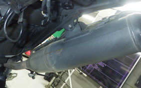 YAMAHA WR250X 2024 DG15J
