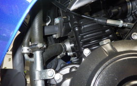 SUZUKI GSX250RA 2022