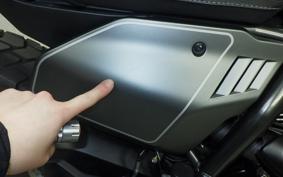 DUCATI SCRAMBLER 2021