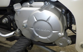 HONDA C50 SUPER CUB AA09