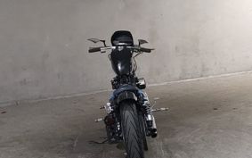 HARLEY HARLEY XL1200R 2007 CV3