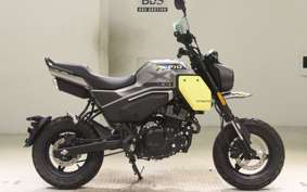 OTHER +CF PAPIO XO-2 2019