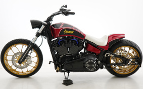 HARLEY FXBRS 2020 YHK