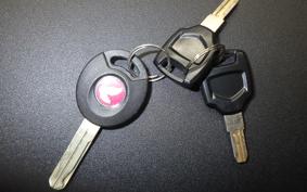 HONDA CT125-2 2024 JA65