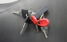 TRIUMPH TIGER 1050 2007