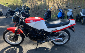 YAMAHA RZ250R 29L