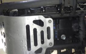 KAWASAKI W175 TR 2020