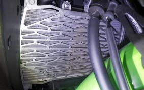 KAWASAKI NINJA 400 2022 EX400G