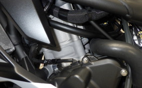 KAWASAKI ZX-4R SE 2024 ZX400P