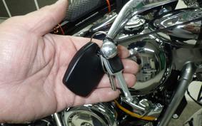 HARLEY FLSTFI1920 2025
