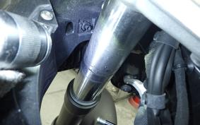 BMW R1300GS 2024