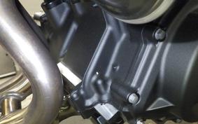 KAWASAKI Z250 Gen.2 2024 EX250Y