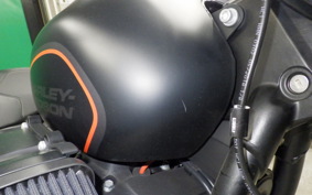 HARLEY FXDRS1870 2019