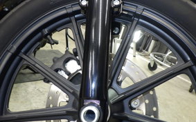 HARLEY XL1200NS 2019