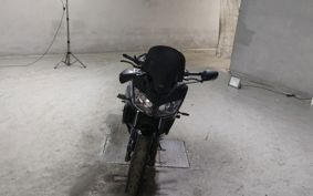 YAMAHA FZ1 FAZER 2008 RN21J