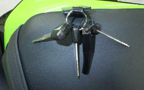 KAWASAKI NINJA ZX-6R A 2021 ZX636G