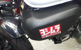 HONDA MONKEY 125 JB05