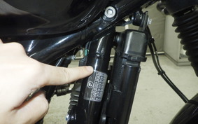 TRIUMPH SPEED TWIN 900 2023