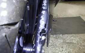 KAWASAKI NINJA 250R 2021 EX250K