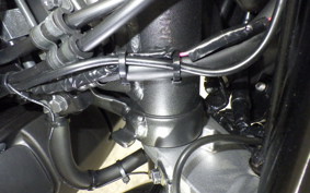 HONDA MONKEY 125 2006 JB03