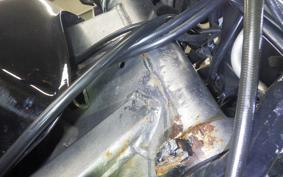 HONDA HORNET 250 2022 MC31