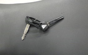 KAWASAKI ZX 10 NINJA ABS 2019