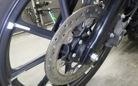 HARLEY XL883N 2018