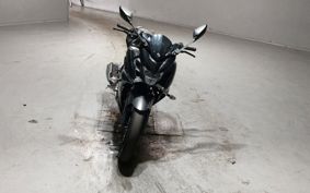 YAMAHA FATHER 250 RG42