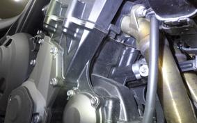 TRIUMPH TRIDENT 660 2024