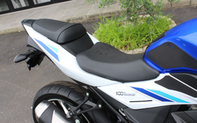 SUZUKI GSX250 R DN11A