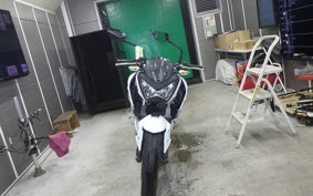 KAWASAKI Z250 ER250C