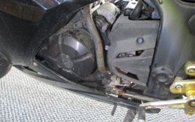 KAWASAKI NINJA 250 EX250L