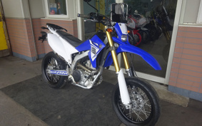 YAMAHA WR250R DG15J