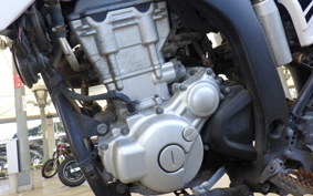 YAMAHA WR250X 2010 DG15J