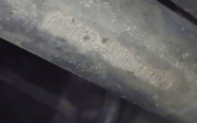 HONDA DIO Gen.6 AF62