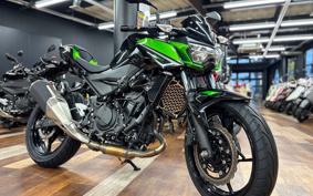 KAWASAKI Z250 EX250Y