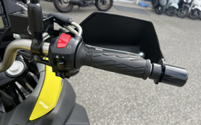 SUZUKI DL650 ( V-Strom 650 ) 2023 C733M