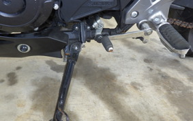SUZUKI GSX250 R 2025