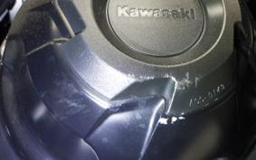 KAWASAKI NINJA 1000 SX 2023 ZXT02K