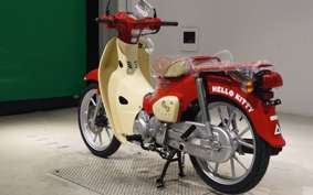 HONDA C110 SUPER CUB
