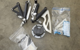 TRIUMPH DAYTONA 675 2013