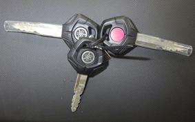 YAMAHA TENERE 700 2025 DM17J