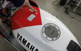 YAMAHA TZR250 2024 1KT