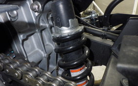 KAWASAKI NINJA 250 EX250P