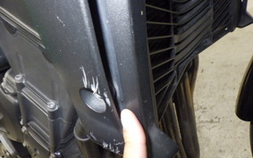 YAMAHA FZ1 FAZER 2007