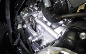 HONDA CBR250RR A 2025 MC51